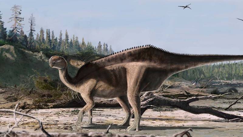 sailback dinosaur istiorachis reconstruction artwork full width james brown jpg thumb 1920 1920.png