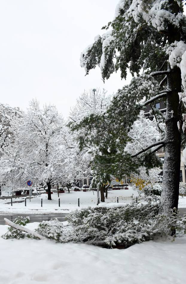 Sisak: Polomljene grane zbog težine snijega