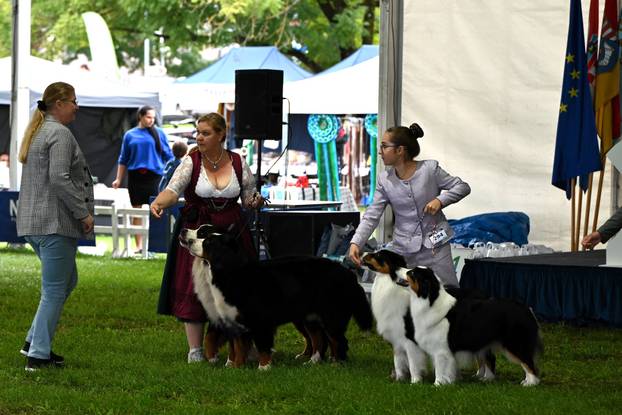 FOTO Neodoljive su njuškice ovih dana blistale u Karlovcu