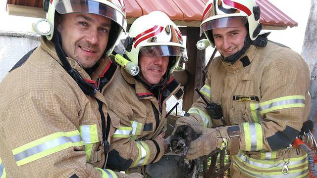 Brzi vatrogasci iz Virovitice spasili su mačića iz bunara