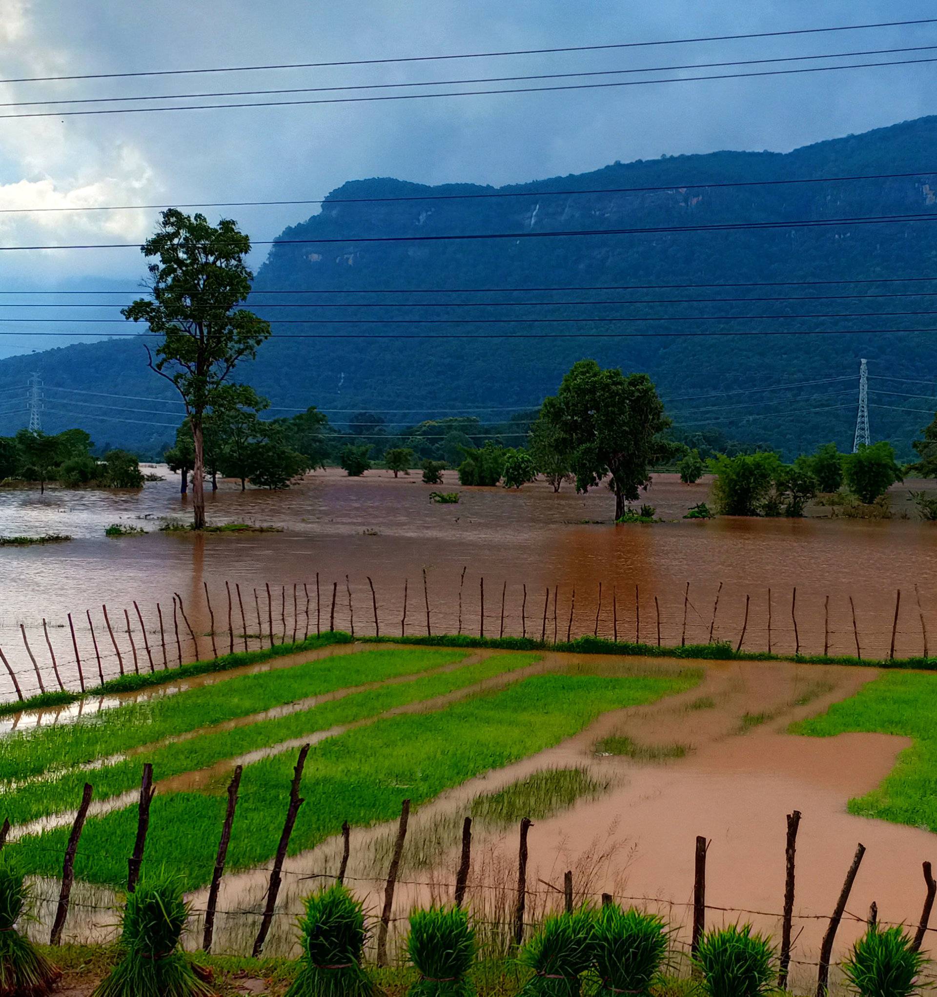 Flooded fields are seen after the Xepian-Xe Nam Noy hydropower dam collapsed in Attapeu province