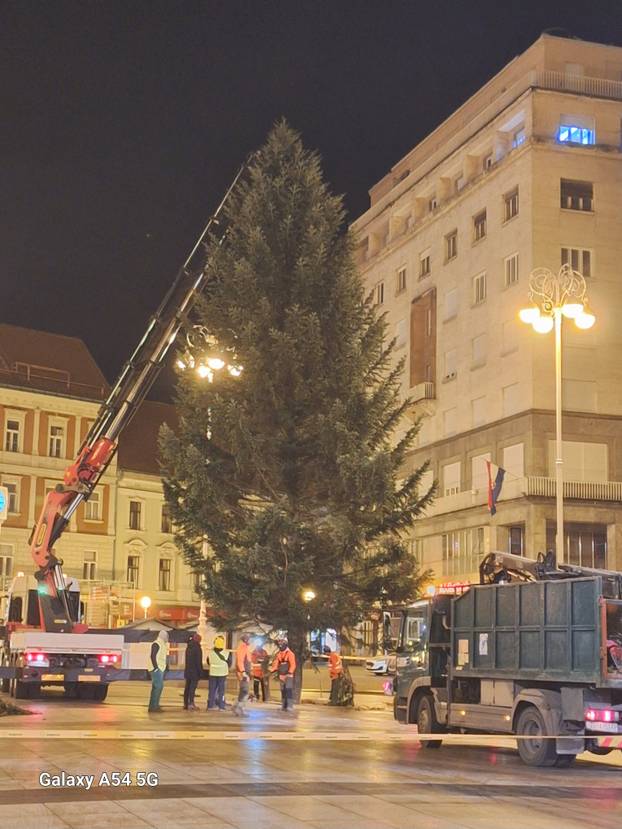 FOTO Na Trg postavili jelku! Stara je 40 godina, visoka 18 m