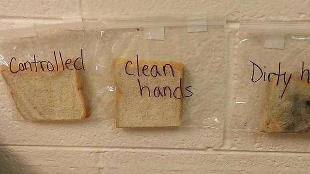 Učiteljica na 'odvratan' način naučila djecu zašto prati ruke