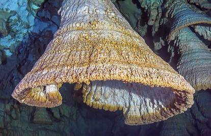 Misteriozna zvona skrivala se tisućama godina u dubini mora