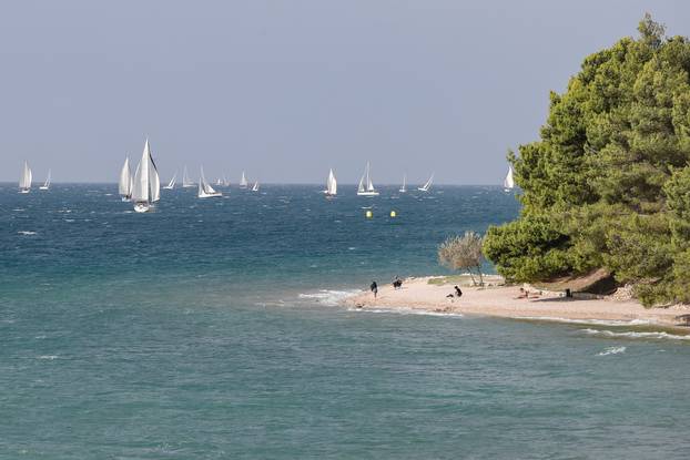 Zadar: Regata Zadarska koka 2022.