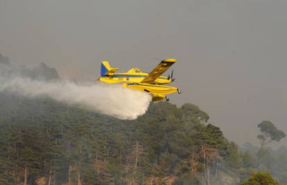 Požar izbio u minskom polju, izgorjelo 15 ha borove šume