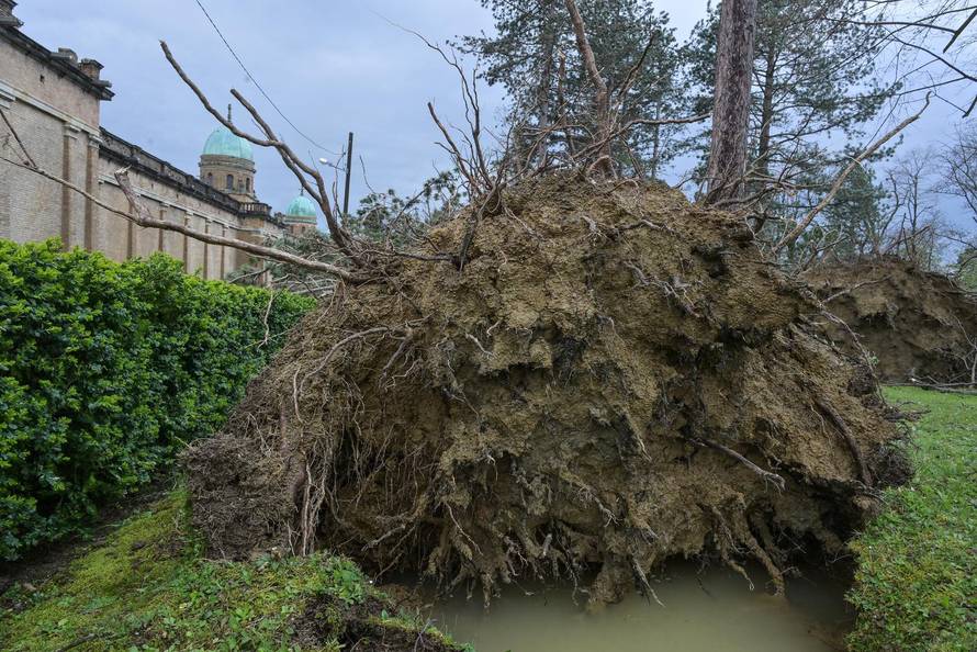 Zagreb: U nevremenu teško  oštećeno gradsko groblje Mirogoj