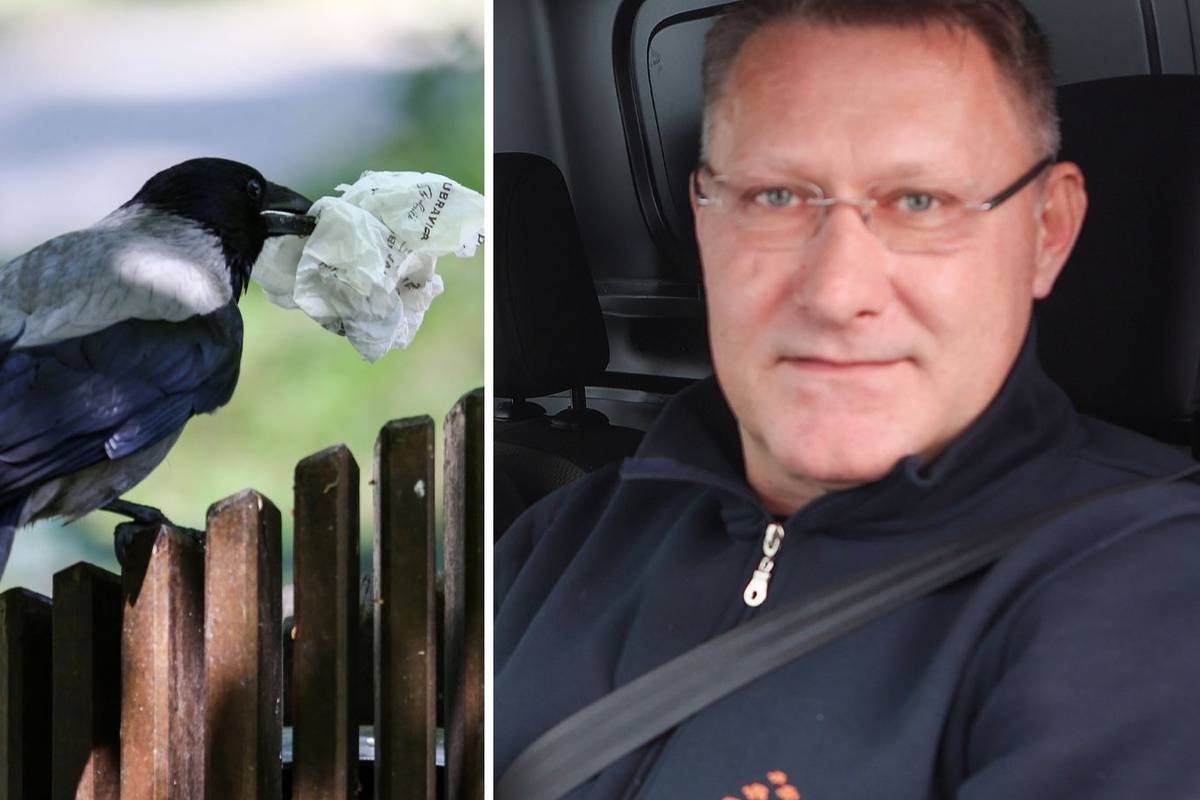 Riješen misterij napada vrana na zagrebačkoj Knežiji: U grmu kraj osnovne škole bio je ptić...