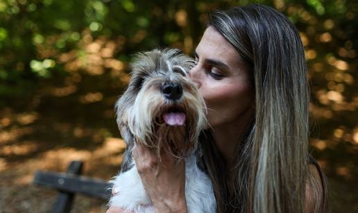 FOTO Najljepši pas na svijetu: Meghan vratila se u Hrvatsku!