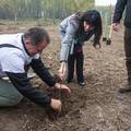 Kod Osijeka  počinje obnova više od 1000 ha šume oštećene od mina, rata i propadanja