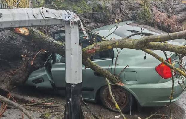 FOTO Apokalipsa u Zagrebu: Stabla drobila automobile, izdano novo upozorenje!