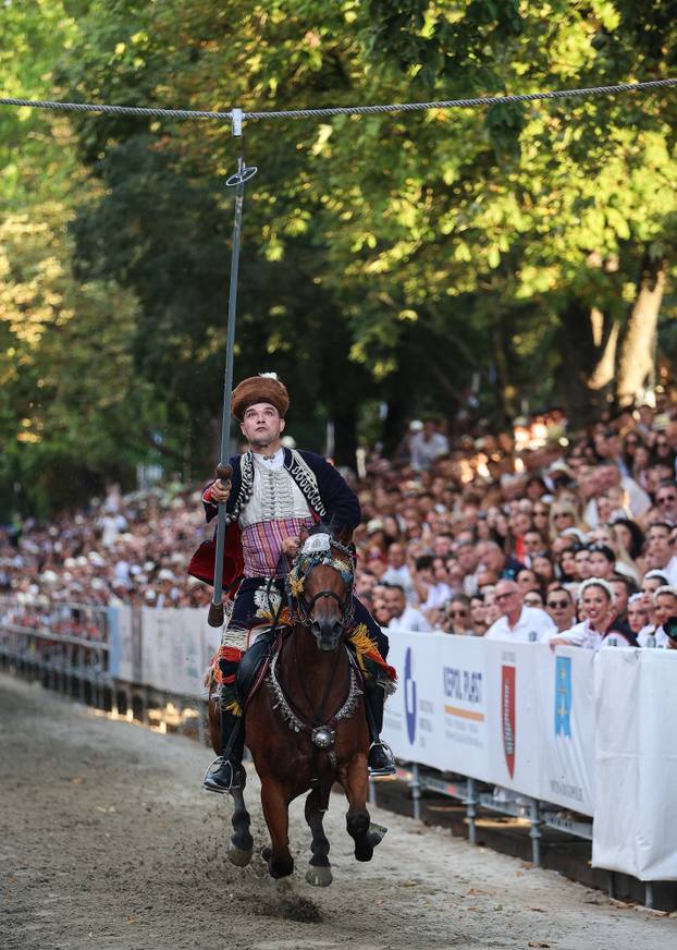 Sinj: 311. Sinjska alka