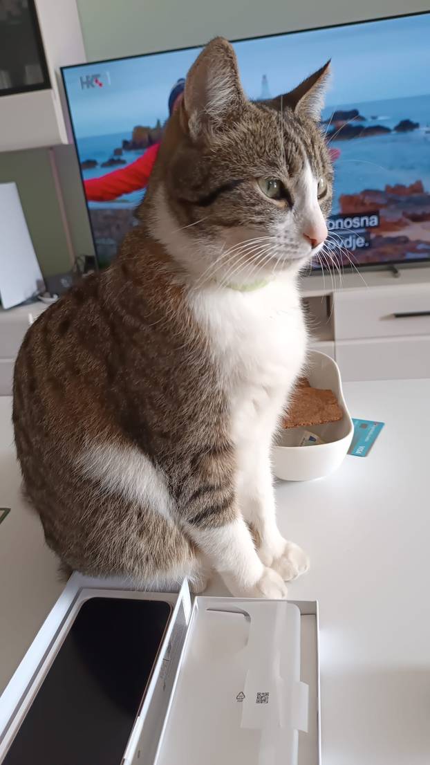 SUPER FOTKE vaših ljubimaca! Neki bi mogli biti viralni hit, ali svi su jednostavno neodoljivi