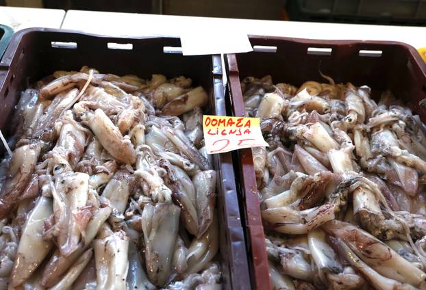 Šibenik: Ponuda ribe na šibenskoj ribarnici