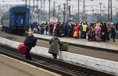 Hrvatska veleposlanica: Lavovu su potrebni hrana i lijekovi