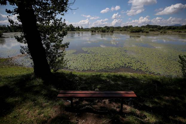 Zagreb: Uz ribolov, jezero Orešje idealno je za obiteljsku šetnju ili vožnju biciklima 