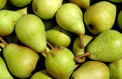 Kruške mogu ostati svježe do godinu dana: Evo na kojem mjestu u domu ih trebate čuvati