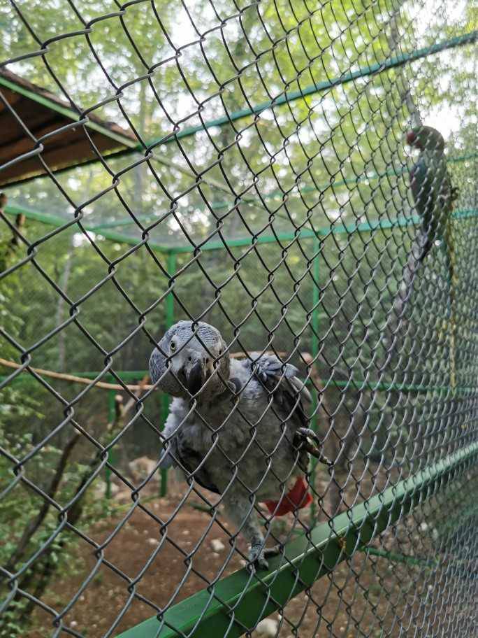 Otvara se prvi hrvatski park za ptice u šumi nedaleko od Poreča