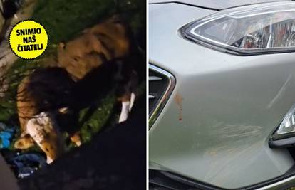 VIDEO Bijesni bik hara selom: 'Djeca se boje i ne izlaze van. Uništava aute i napada ljude'