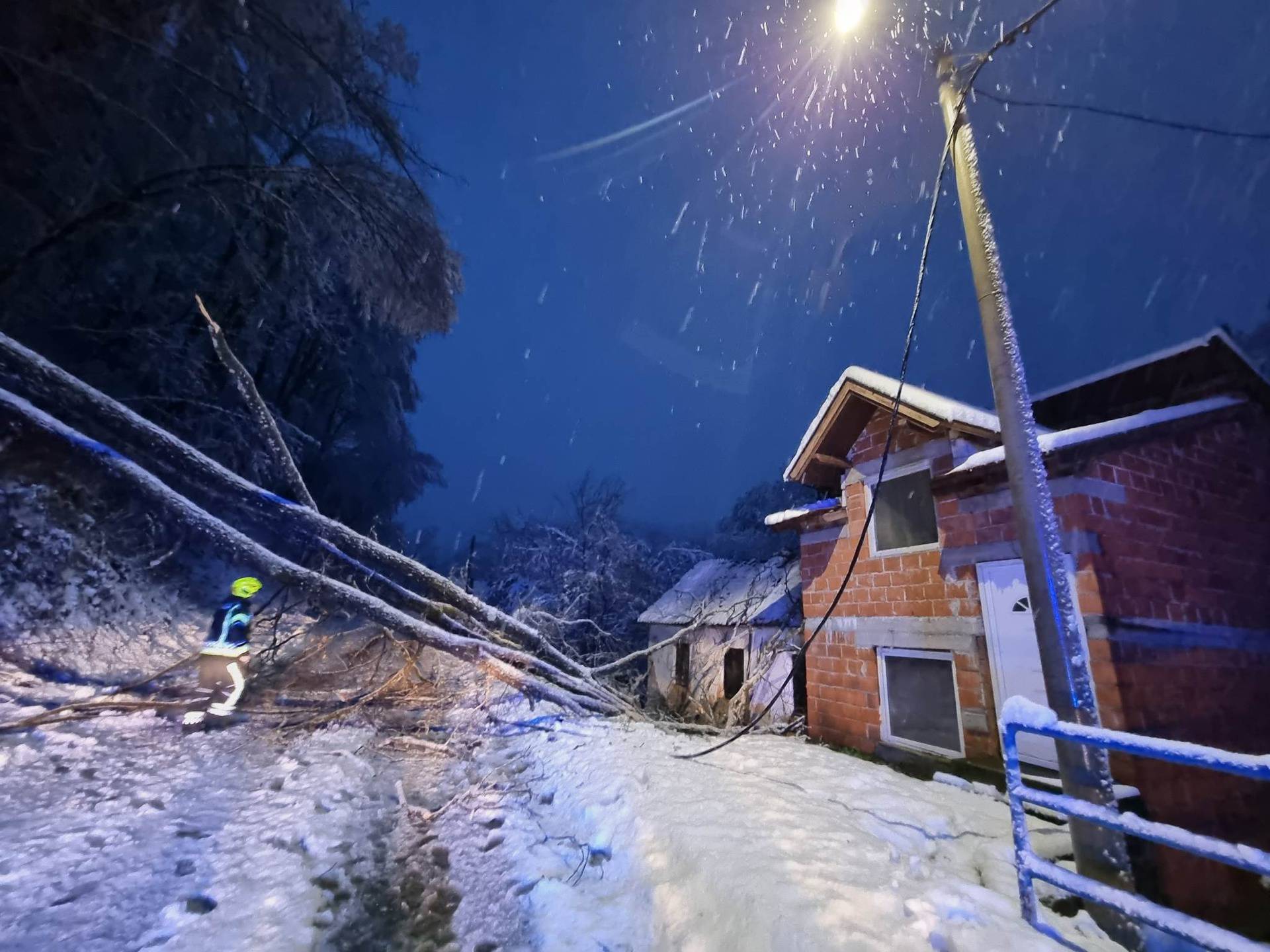 Požeški vatrogasci s prometnica uklonili desetak stabala: 'Jedno drvo je palo na obiteljsku kuću'