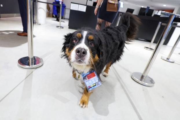 Herning: Navijači očekuju početak utakmice Hrvatska i Njemačka u polufinalu EHF Europskog prvenstva