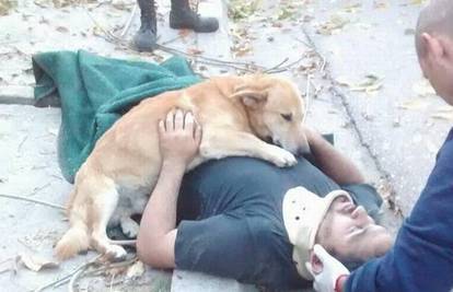 Pao sa stabla, a vjerni pas ga grlio do dolaska hitne pomoći