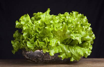 Uz ovaj trik salata će ostati svježa i hrskava i do 30 dana