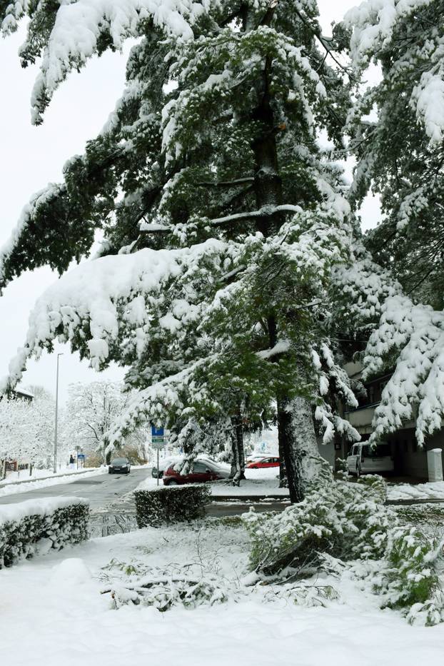 Sisak: Polomljene grane zbog težine snijega