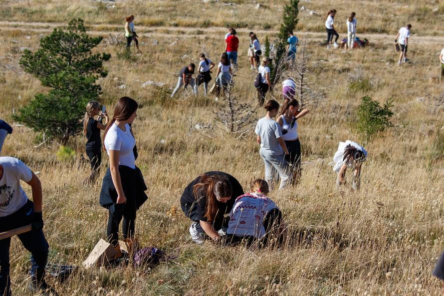 Boranka i Eurospin - Za Projekt pošumljavanja Eurospin će zasaditi 3.000 stabala