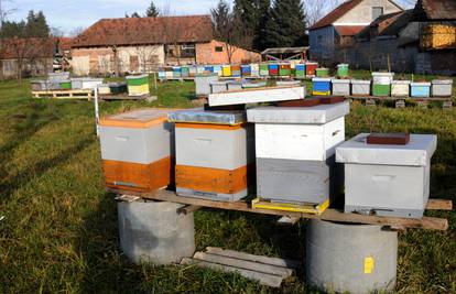 Muškarac (41) krao košnice s pčelama: Šteta 147.000 kuna