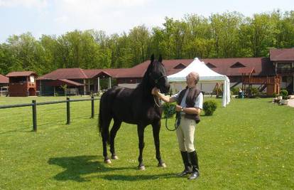  Oliver Mlakar je darovao  konja vrijednog 37.000 kn