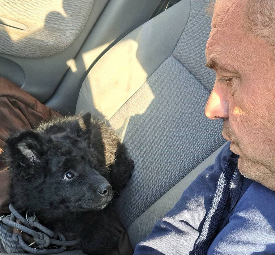 'U ovom štenetu je duh direwolfa iz Igre prijestolja! Njegove moći su čudesne...'