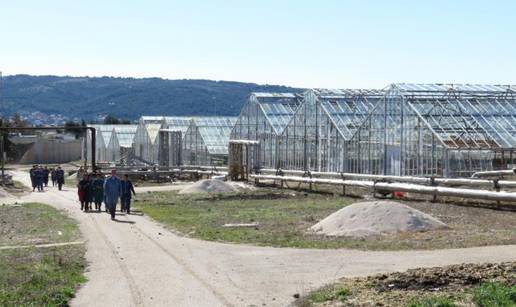 Kaštelanski staklenici idući tjedan vjerojatno idu u stečaj