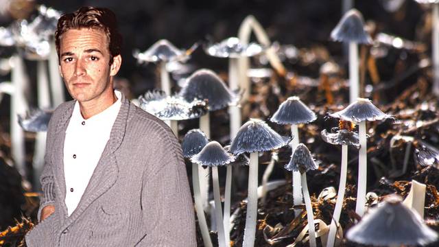 Luke Perry pokopan je u 'odijelu od posebnih gljiva'. Plan je bio da ga one razgrade, međutim...