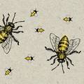 Svi zuje o važnosti pčela! Zagađenje zraka smanjuje stopu oprašivanja za čak 31%