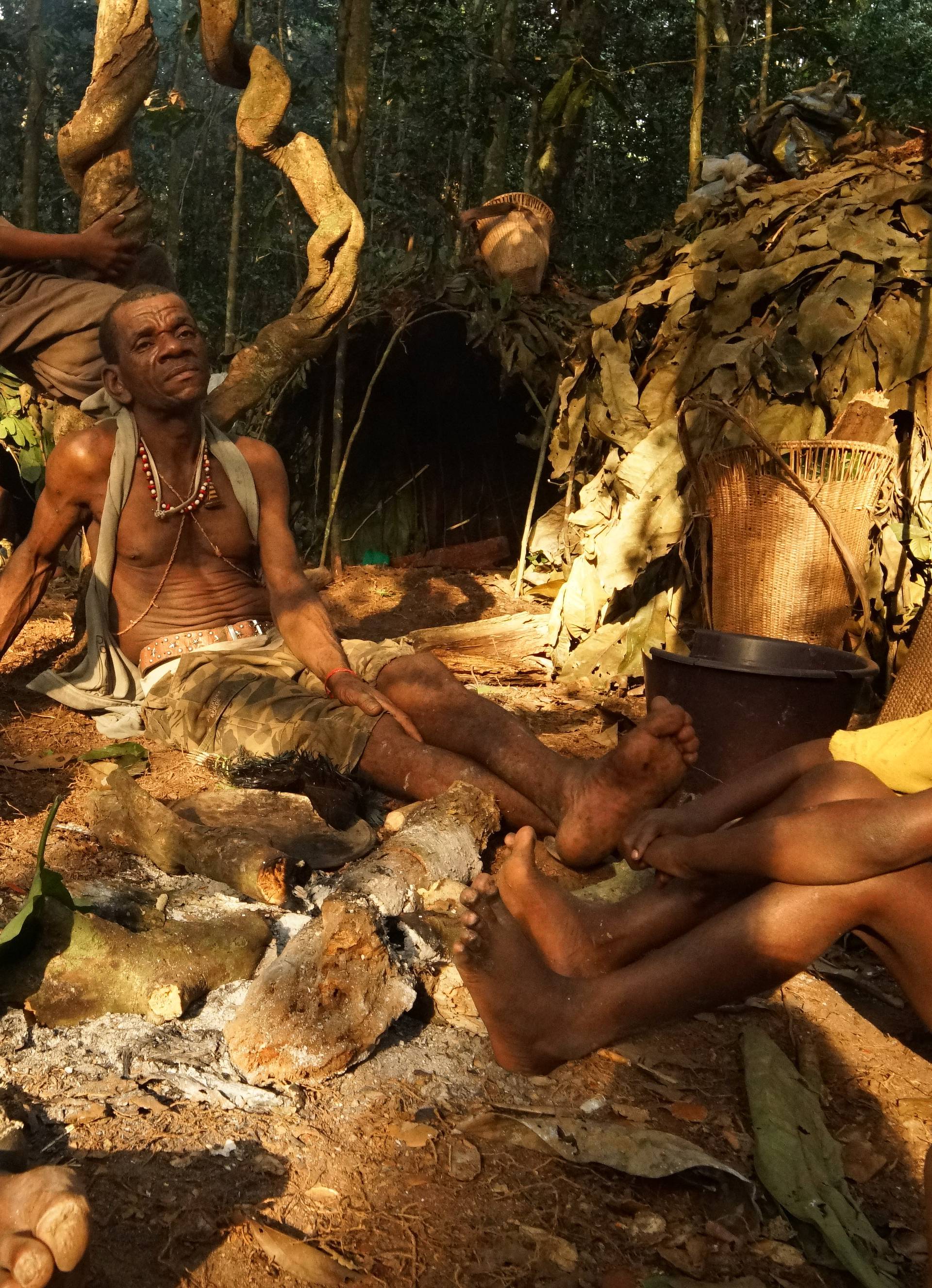 Baka Tribe Of Central Africa Struggle For Survival