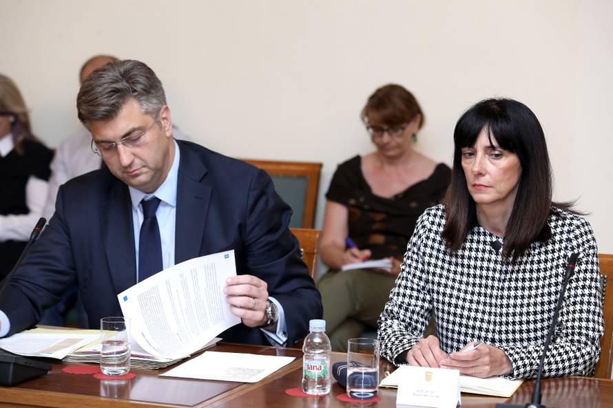 Plenković na čelu povjerenstva, Divjak i Bedeković suvoditeljice