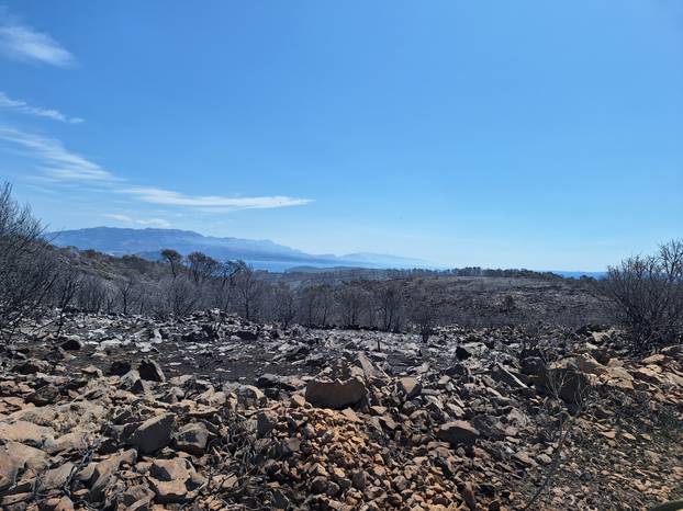 Neki dijelovi Čiova nakon požara potpuno su opustošeni