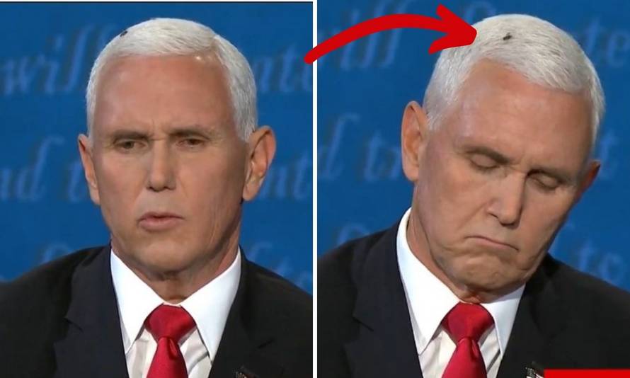 Velika muha sletjela Penceu na glavu i postala zvijezda debate