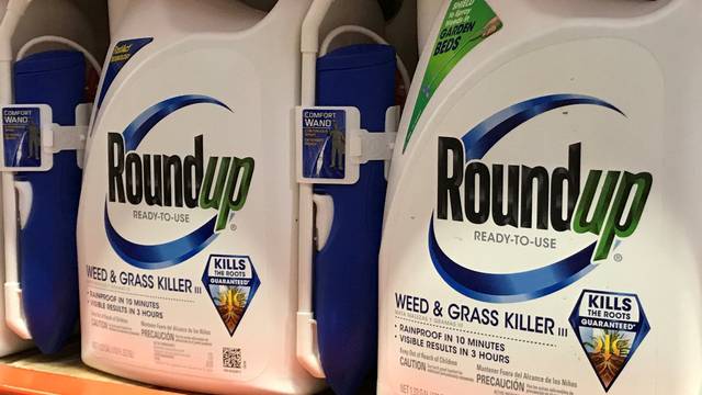 FILE PHOTO: Monsanto Co's Roundup shown for sale in California