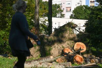 Park mladenaca u Zagrebu još nije počišćen od oluje iz srpnja