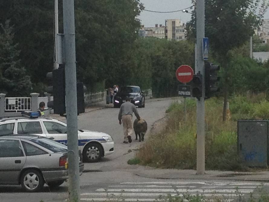 Čitatelj 24sata