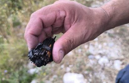 Jeziva fotka kruži društvenim mrežama! Je li ovo dokaz da je požar u Dalmaciji podmetnut?