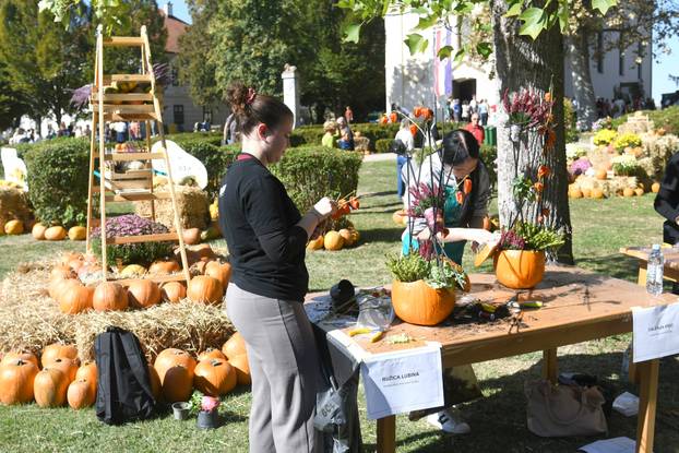 Ivanić Grad: Gastro manifestacija 'Bučijada u centru Ivanić Grada'