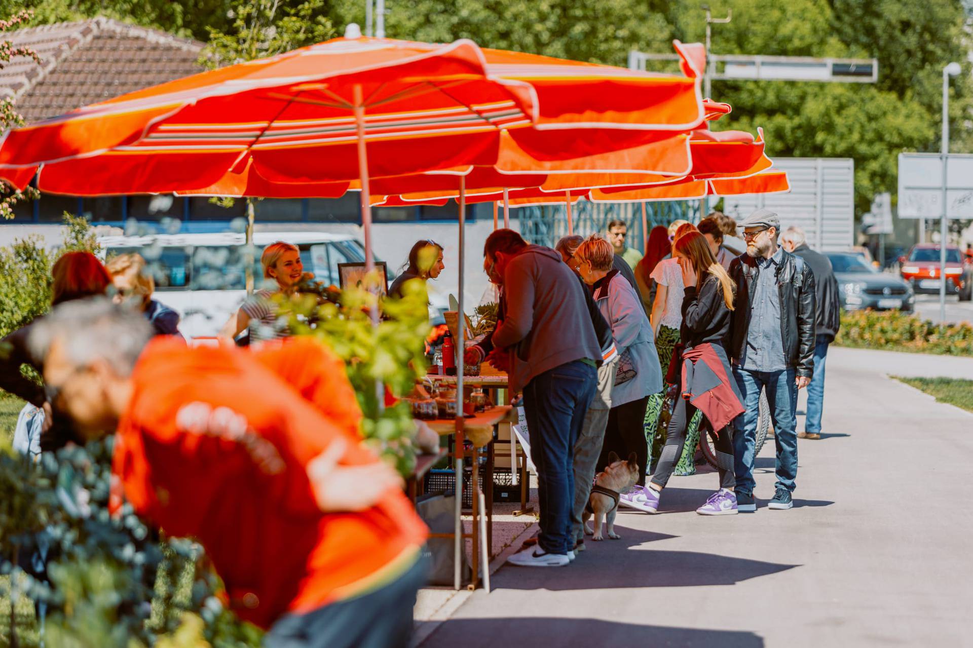 Plant Market: Ljubitelji biljaka u petak moraju doći na Britanac