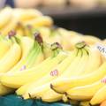 Banane su u 'banani': Plantaže u Kostariki napale su štetočine