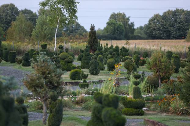 Bajkoviti vrt u srcu Međimurja: Prvi i jedini Topiary park u Hrvatskoj krije se u Sračincu