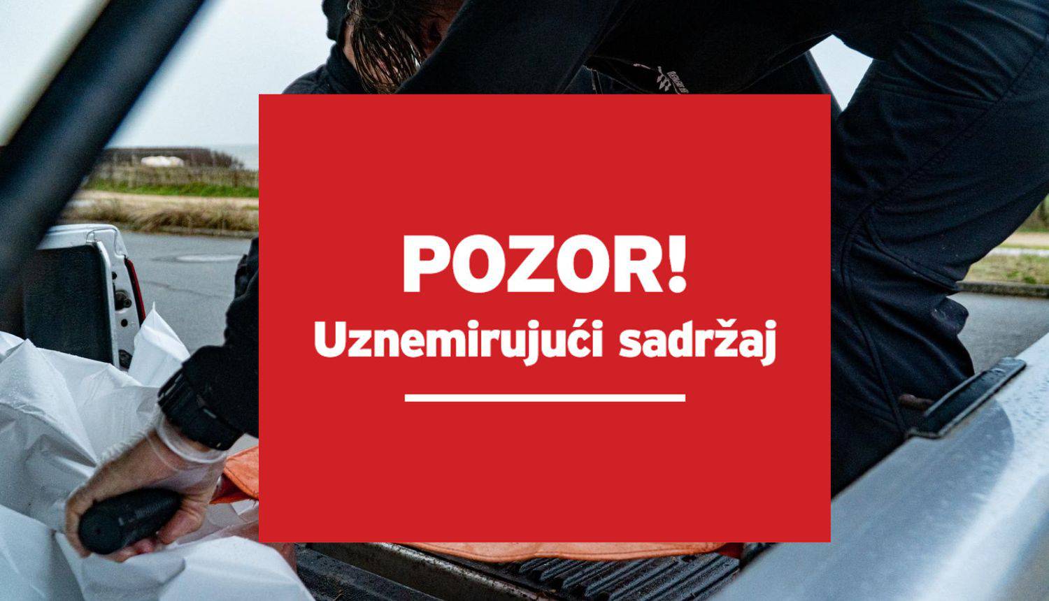 Uznemirujući prizori na obali Francuske: 'U par mjeseci našli smo više od 370 mrtvih dupina'