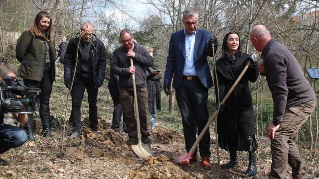 Zagreb: Ministrica Vučković sadila stabla povodom Svjetskog dana šuma