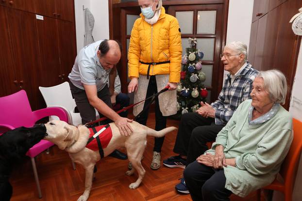 Zagreb: Štićenike doma Remete posjetom razveselili psi iz Centra za rehabilitaciju - Silver